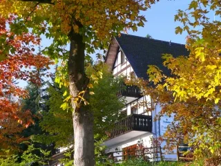 Bild Stiegelmeier