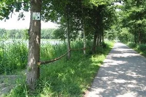 froschradweg_2