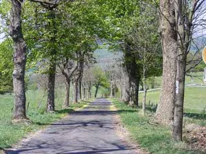 mainrhoen_1